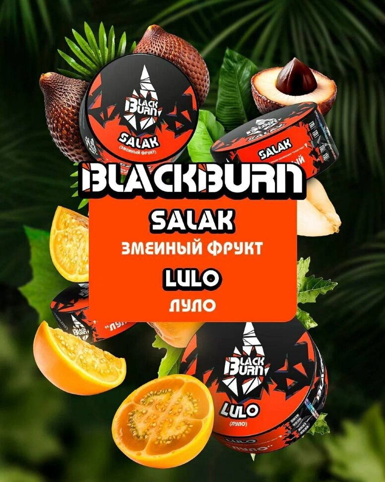 Black Burn "Salak" (Змеиный фрукт) 100 гр. по цене 1 100 руб. 