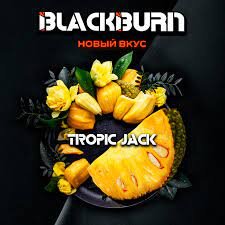 Black Burn "Tropic Jack" (Джекфрут) 25гр. по цене 320 руб. 