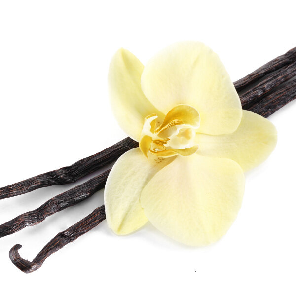Starry "Vanilla" ("Ваниль") по цене 250 руб. 