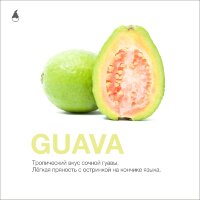 MattPear "Guava" ("Гуава") 50гр. по цене 350 руб. 