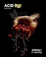 Darkside Sabotage "ACID" (Кизил) 30гр. по цене 375 руб. 