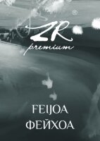 ZR Silver "Feijoa" ("Фейхоа") 100 г. по цене 450 руб. 