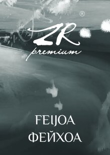 ZR Silver "Feijoa" ("Фейхоа") 100 г. по цене 450 руб. 