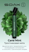Soak S "Cane Mint" ("Тростниковая Мята") 2500 затяжек по цене 900 руб. 