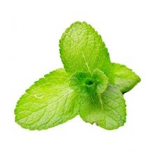 Fumari "Mint" ("Мята") по цене 800 руб. 