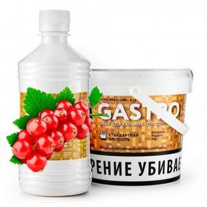 D-Gastro "Красная смородина" по цене 180 руб. 