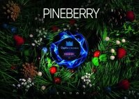 Crown Sapphire "Pineberry" (Ягоды, мята и хвоя) 25гр. по цене 270 руб. 