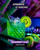 DarkSide XPERIENCE "RESIDENT KIWI" (Киви и алоэ) 25гр. по цене 350 руб. 