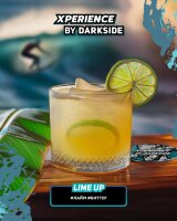 DarkSide XPERIENCE "LIME UP" (Лайм, биттер) 120гр. по цене 1 240 руб. 