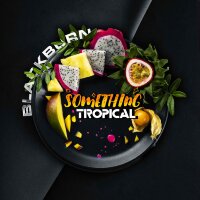 Black Burn "Something Tropical" (Тропические фрукты) 25 гр. по цене 320 руб. 